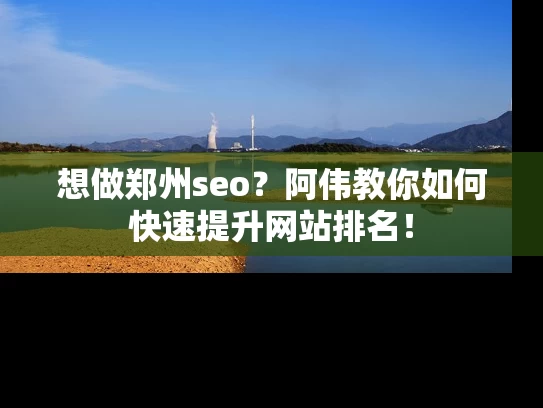 想做郑州seo？阿伟教你如何快速提升网站排名！