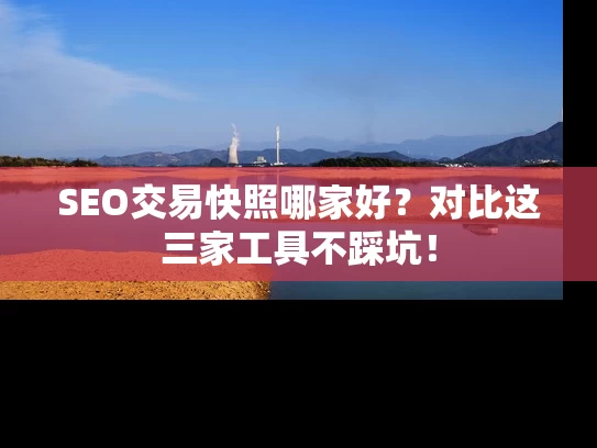 SEO交易快照哪家好？对比这三家工具不踩坑！
