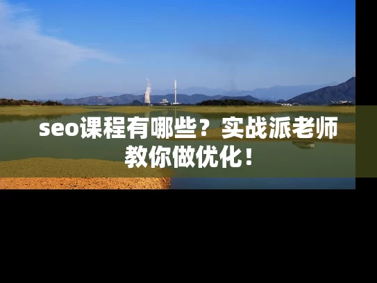 seo课程有哪些？实战派老师教你做优化！