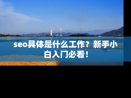 seo具体是什么工作？新手小白入门必看！