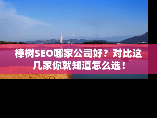 樟树SEO哪家公司好？对比这几家你就知道怎么选！