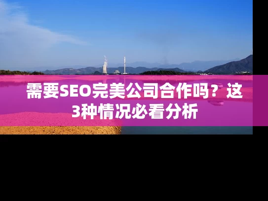 需要SEO完美公司合作吗？这3种情况必看分析