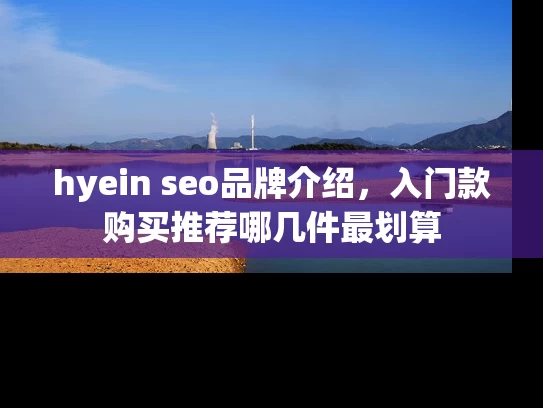 hyein seo品牌介绍，入门款购买推荐哪几件最划算