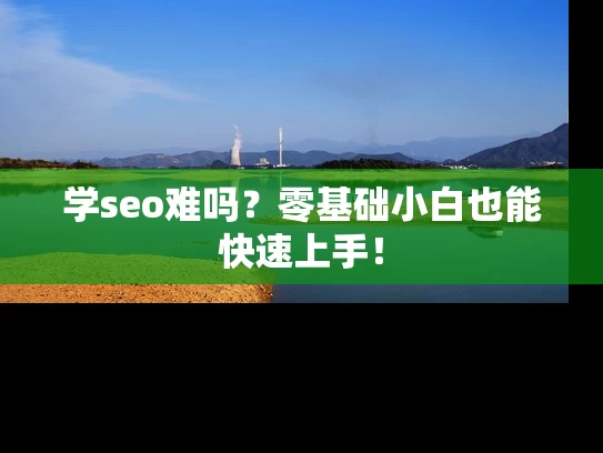 学seo难吗？零基础小白也能快速上手！