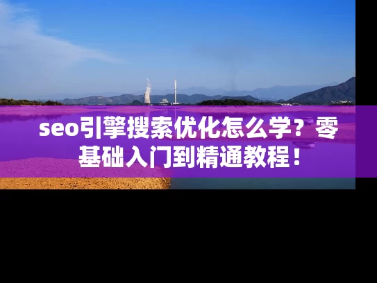 seo引擎搜索优化怎么学？零基础入门到精通教程！