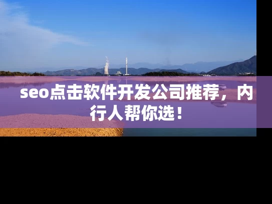 seo点击软件开发公司推荐，内行人帮你选！