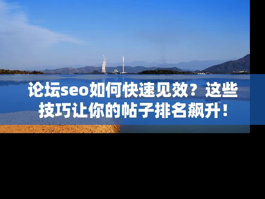 论坛seo如何快速见效？这些技巧让你的帖子排名飙升！
