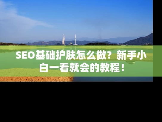 SEO基础护肤怎么做？新手小白一看就会的教程！