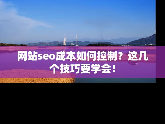 网站seo成本如何控制？这几个技巧要学会！