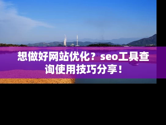 想做好网站优化？seo工具查询使用技巧分享！