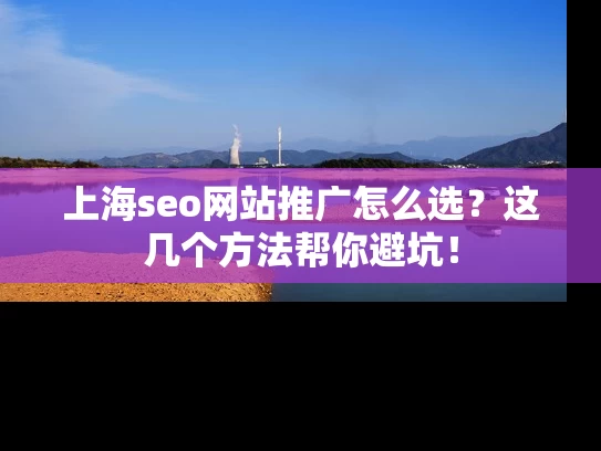 上海seo网站推广怎么选？这几个方法帮你避坑！
