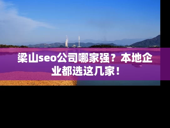 梁山seo公司哪家强？本地企业都选这几家！