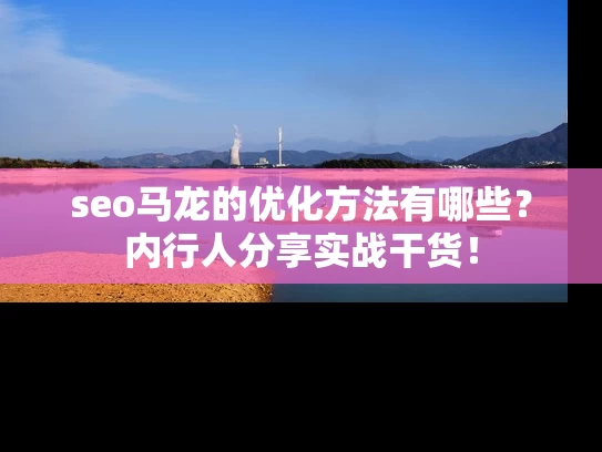 seo马龙的优化方法有哪些？内行人分享实战干货！