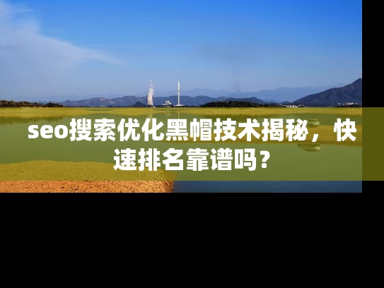 seo搜索优化黑帽技术揭秘，快速排名靠谱吗？
