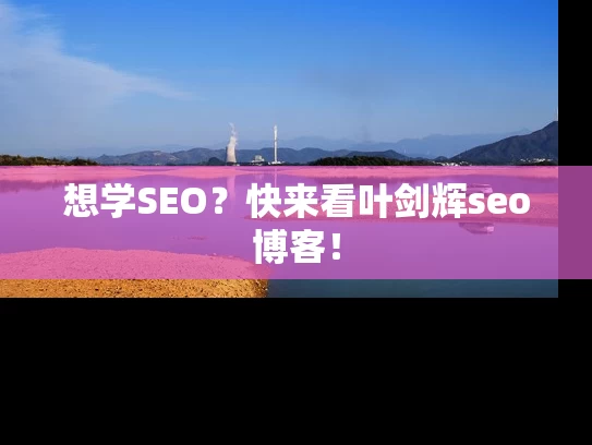 想学SEO？快来看叶剑辉seo博客！