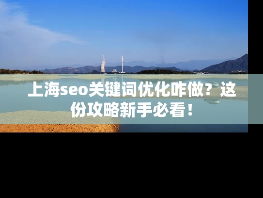 上海seo关键词优化咋做？这份攻略新手必看！
