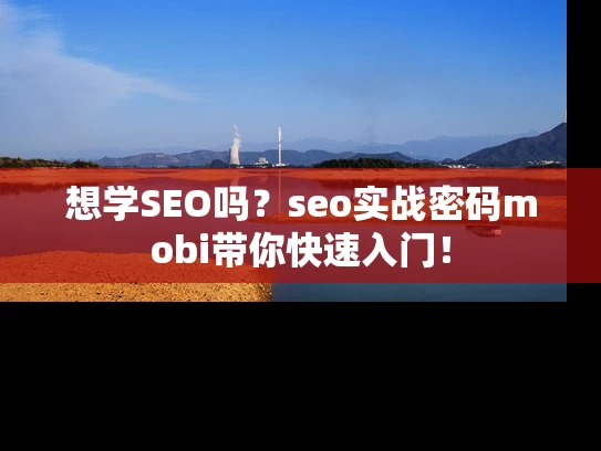 想学SEO吗？seo实战密码mobi带你快速入门！