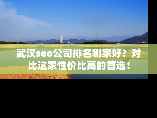 武汉seo公司排名哪家好？对比这家性价比高的首选！