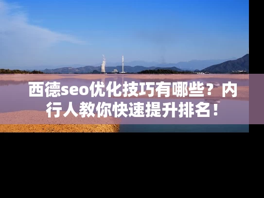 西德seo优化技巧有哪些？内行人教你快速提升排名！