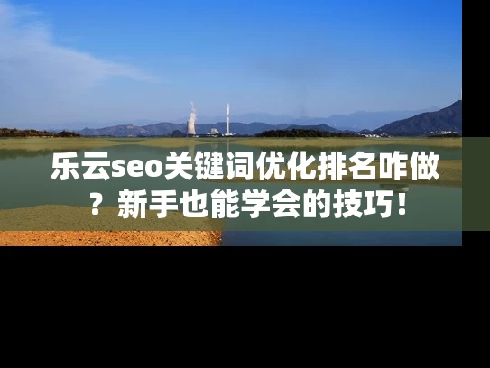 乐云seo关键词优化排名咋做？新手也能学会的技巧！
