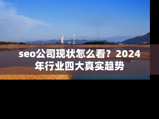 seo公司现状怎么看？2024年行业四大真实趋势