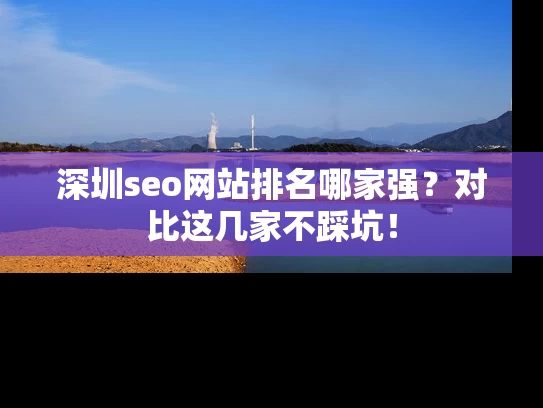 深圳seo网站排名哪家强？对比这几家不踩坑！