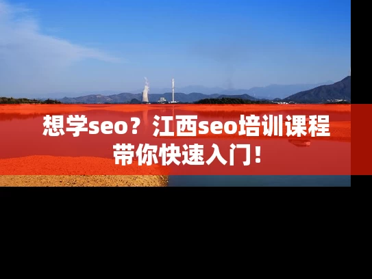 想学seo？江西seo培训课程带你快速入门！