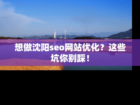 想做沈阳seo网站优化？这些坑你别踩！