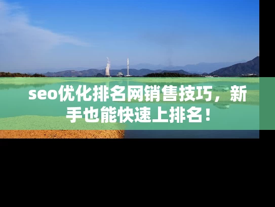 seo优化排名网销售技巧，新手也能快速上排名！