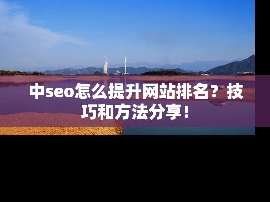中seo怎么提升网站排名？技巧和方法分享！