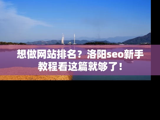 想做网站排名？洛阳seo新手教程看这篇就够了！