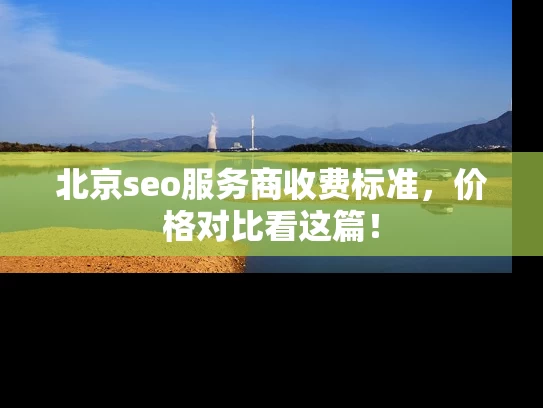 北京seo服务商收费标准，价格对比看这篇！