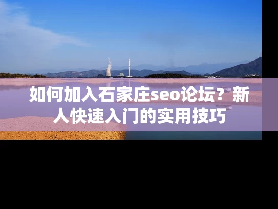如何加入石家庄seo论坛？新人快速入门的实用技巧