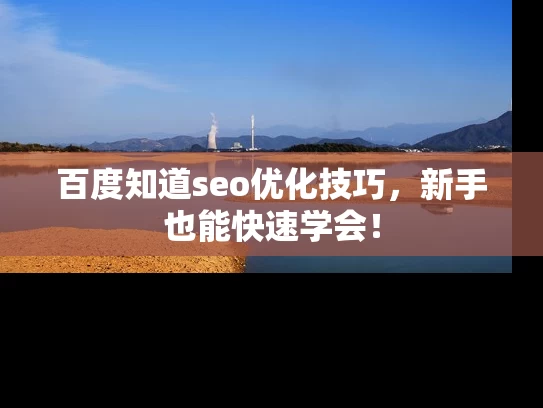 百度知道seo优化技巧，新手也能快速学会！
