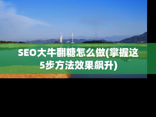 SEO大牛翻糖怎么做(掌握这5步方法效果飙升)