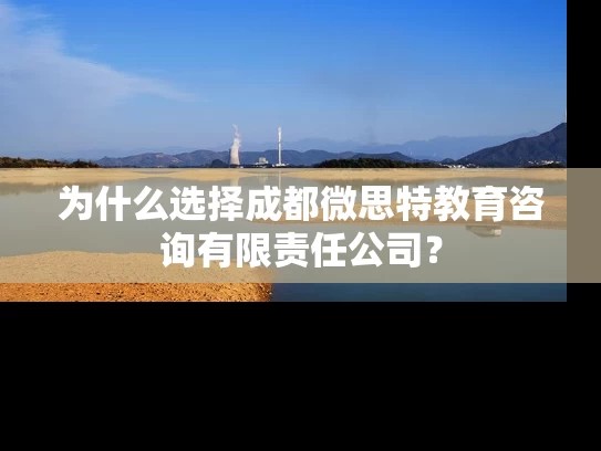 为什么选择成都微思特教育咨询有限责任公司？