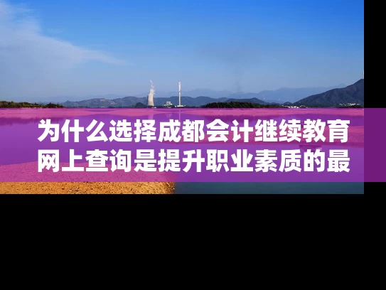 为什么选择成都会计继续教育网上查询是提升职业素质的最佳选择？