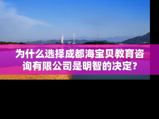 为什么选择成都海宝贝教育咨询有限公司是明智的决定？