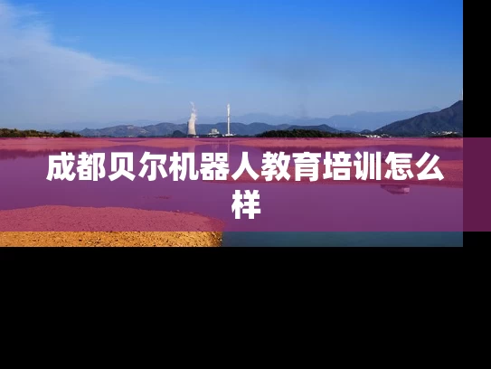 成都贝尔机器人教育培训怎么样