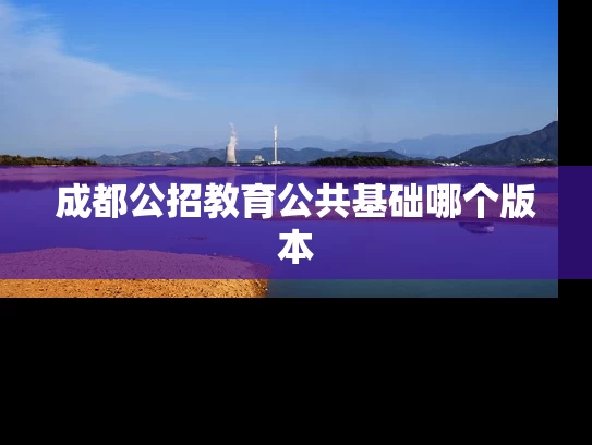 成都公招教育公共基础哪个版本