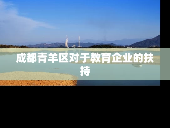 成都青羊区对于教育企业的扶持 成都青羊区对于教育企业的扶持