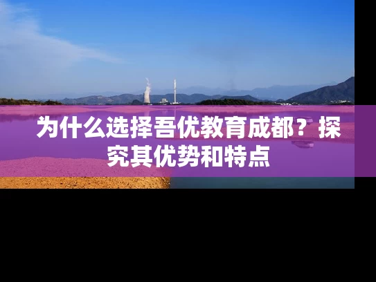 为什么选择吾优教育成都？探究其优势和特点