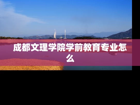 成都文理学院学前教育专业怎么