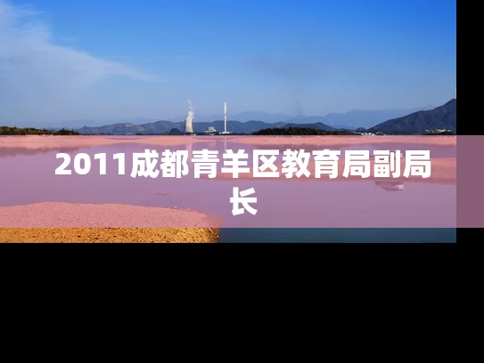 2011成都青羊区教育局副局长