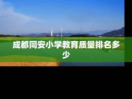 成都同安小学教育质量排名多少 成都同安小学教育质量排名多少