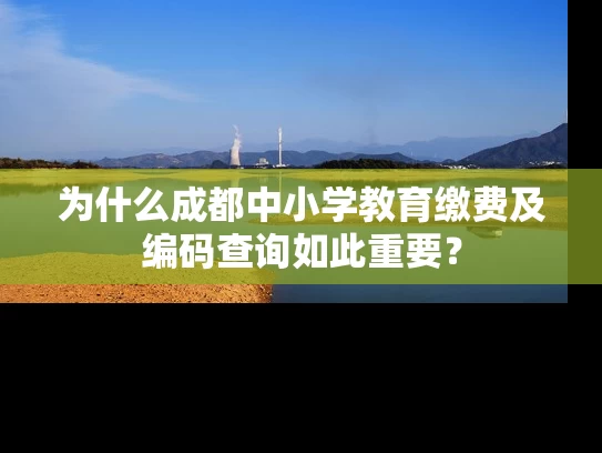 为什么成都中小学教育缴费及编码查询如此重要？