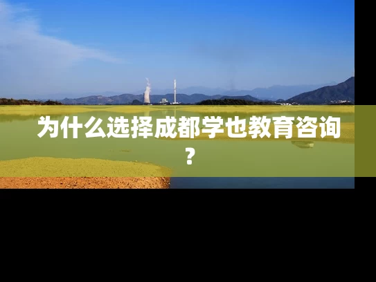 为什么选择成都学也教育咨询？