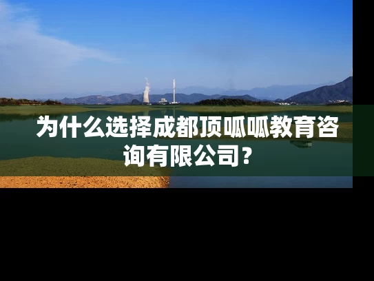 为什么选择成都顶呱呱教育咨询有限公司？