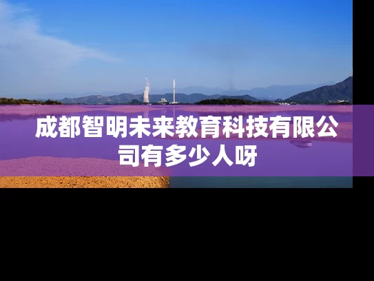 成都智明未来教育科技有限公司有多少人呀