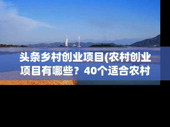 头条乡村创业项目(农村创业项目有哪些？40个适合农村的创业项目)